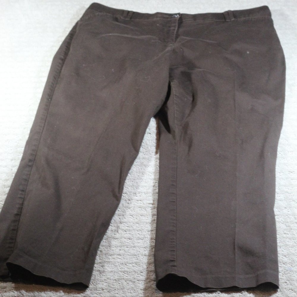 Dress Barn Size 16 High Rise Straight Leg  Brown Pants